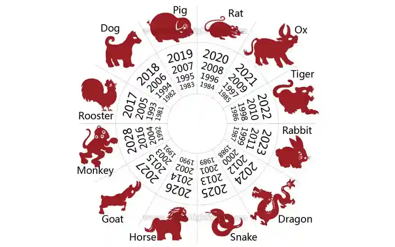 Chinese Birth Chart